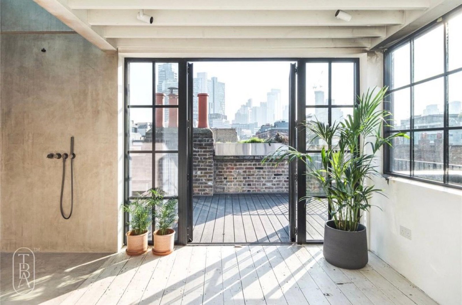 Rooftop Loft - Crittall Doors