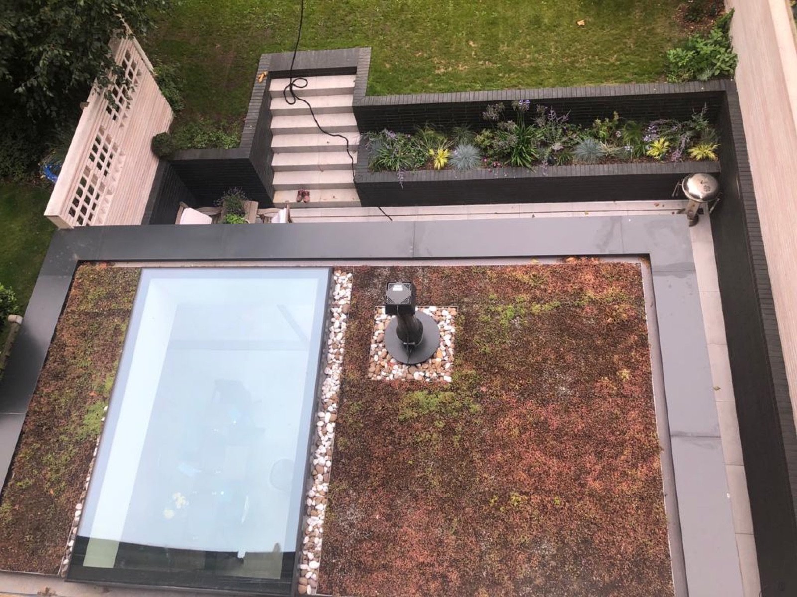 Green Roof & Rooflight